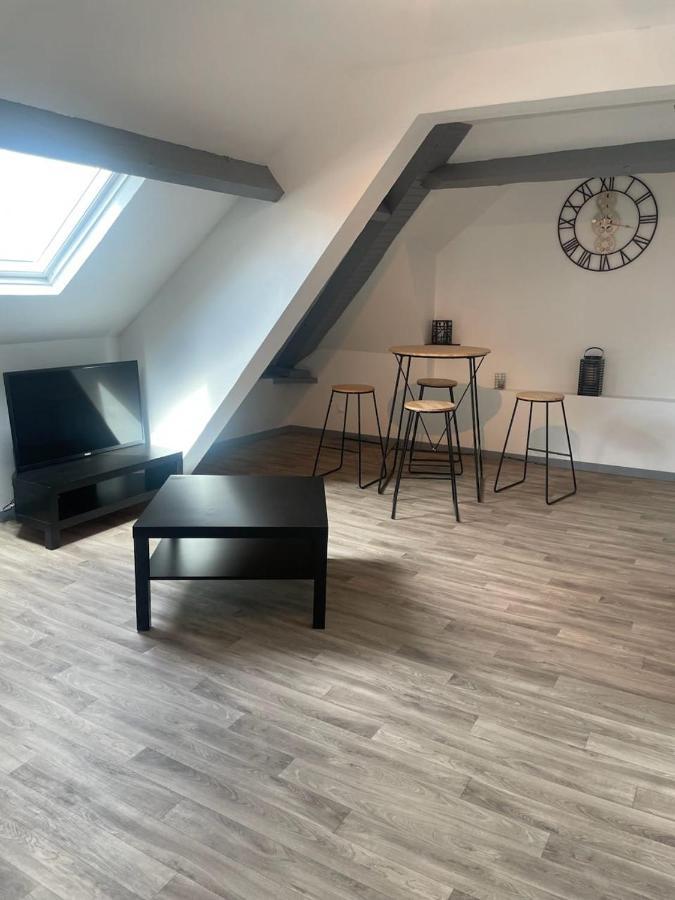 Superbe Loft Neuf - 1 Chambre- Face Au Chateau * Sedan
